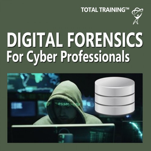 Digital Forensics for Cyber Professionals
