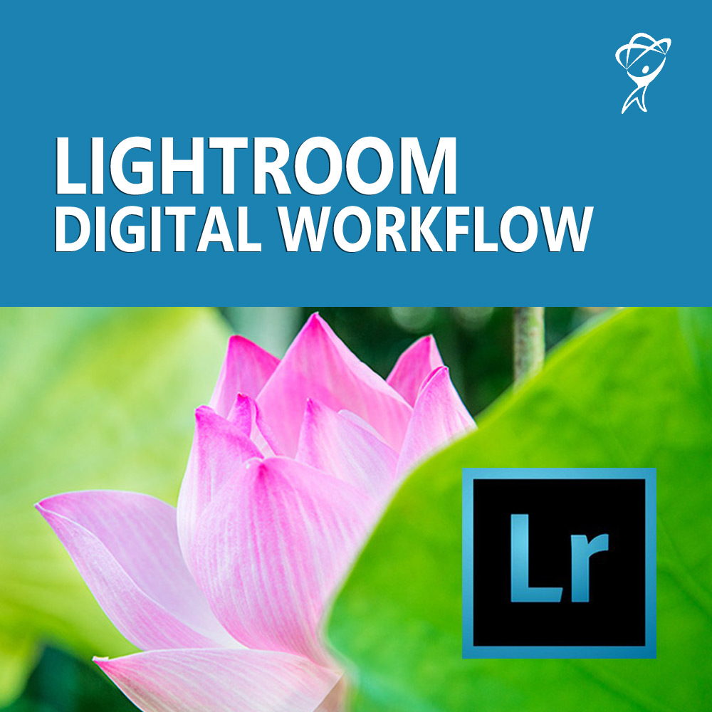 Lightroom Digital Workflow course from Total Training